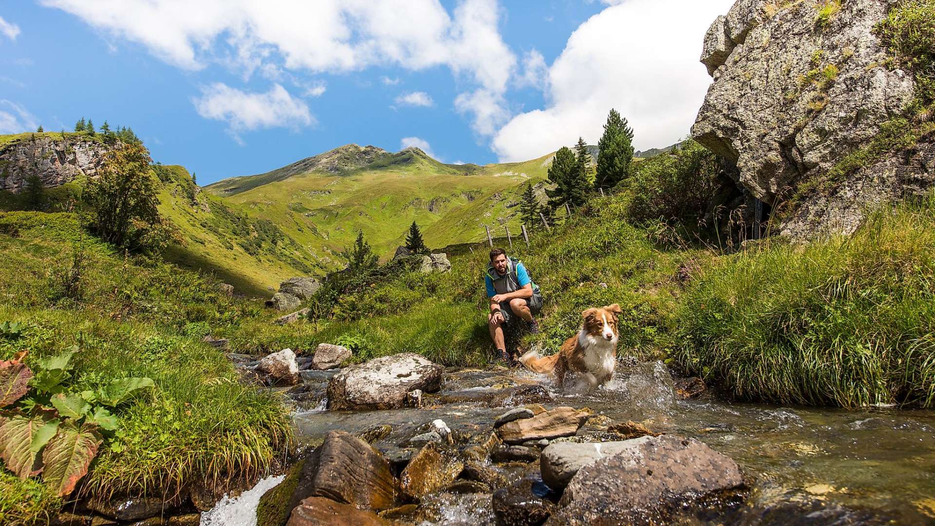 Urlaub mit Hund Kärnten Wandern mit dem Hund während ihres Urlaubs in den Ferienwohnungen am Klopeiner See und Turnersee