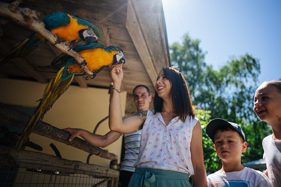 Angebot für den Familienurlaub in Südkärnten, Familienzeit am Turnersee in Kärnten