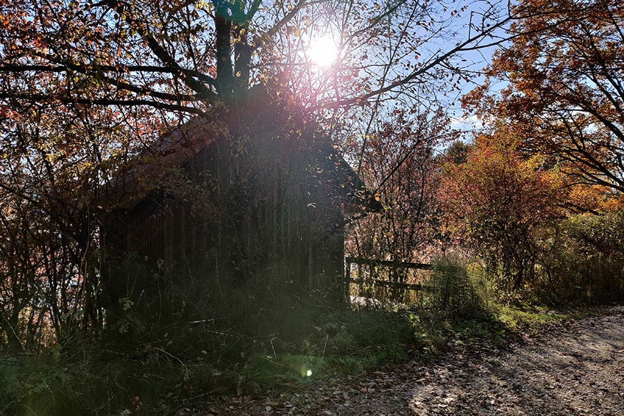 Hütte im Gegenlicht im Sablatinigmoor